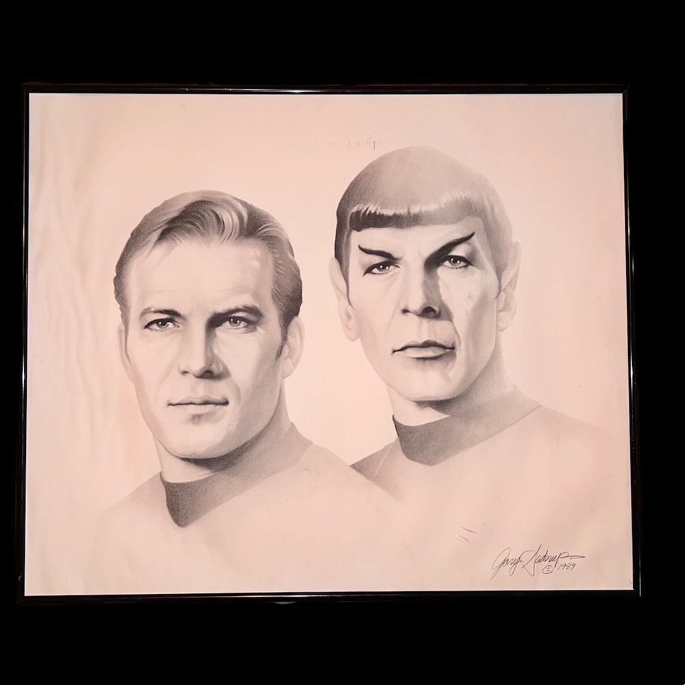 Star Trek poster with frame